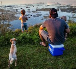 Coleman 16QT Performance Tricolor Koelbox - 15L - Blauw/Grijs -Buitenkampeer Winkel 1200x1094 5