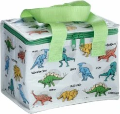 Kleine Lunch/sixpack Koeltas - Dinosaurus Print - 21 X 16 Cm - 4,7 L -Buitenkampeer Winkel 1200x1140