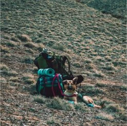 LOWLAND OUTDOOR® Donzen Slaapzak - Super Compact Blanket - 210 X 80 Cm - 590gr +8°C -Buitenkampeer Winkel 1200x1196 11