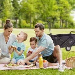 LifeGoods Bolderkar - Opvouwbaar - Draaibare Wielen - 2 Standen - 70KG Draagkracht - Zwart -Buitenkampeer Winkel 1200x1200 827